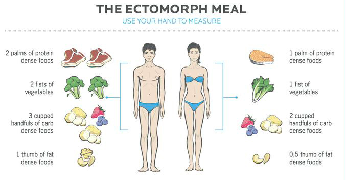 What Should I Eat For My Body Type? Ectomorph